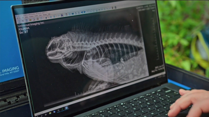 Empowering Galapagos Research: A Lifeline from Universal Imaging and Agfa Radiology Solutions